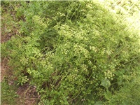 a159950f-Picture 015.jpg